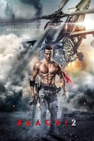 Baaghi 2 2018 Hindi Movie Hevc Pre-DVDRip [170MB]